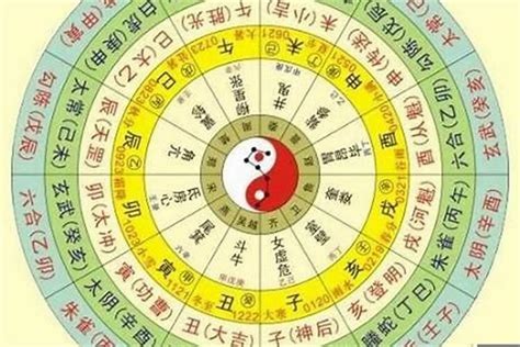 东五行|东字的五行属什么